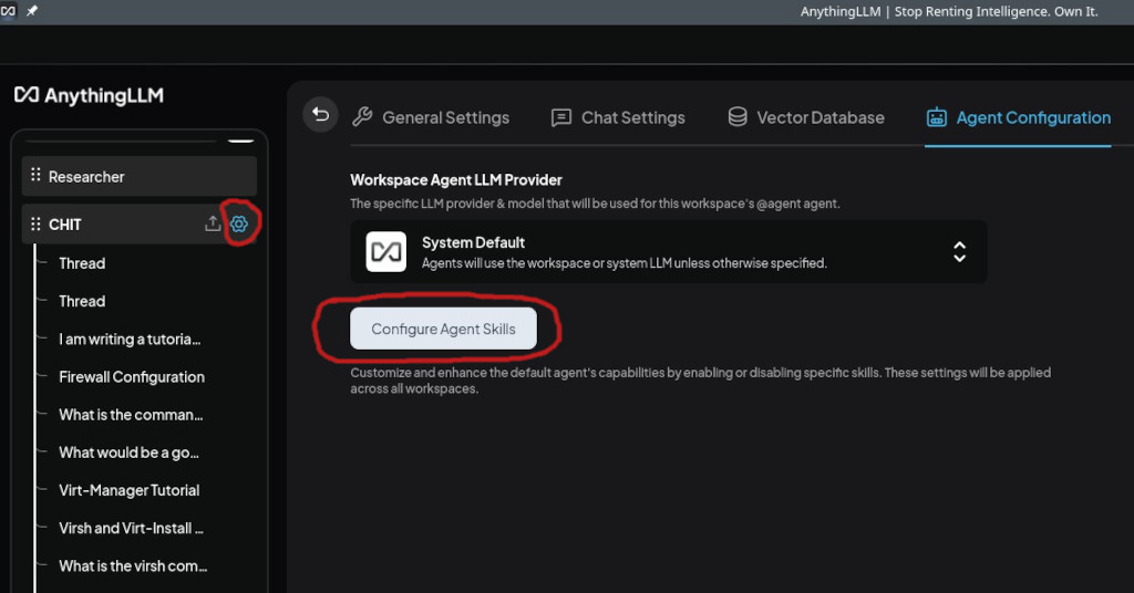 Configuring AnythingLLM Agent Skills
