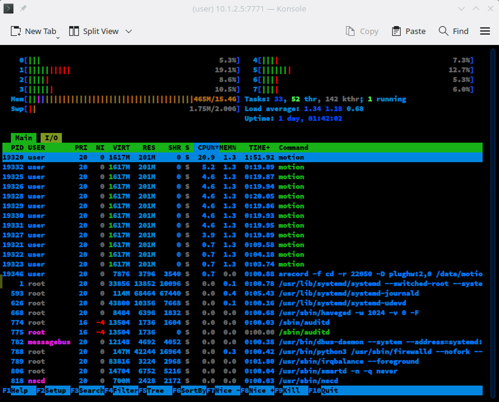 Motion Detection Performance Htop